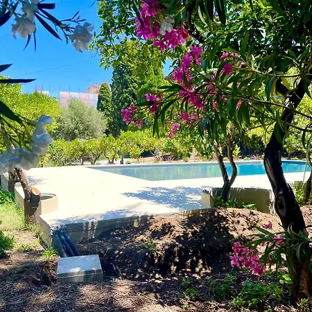 Stunning With Private Pool In * צ'פאלו